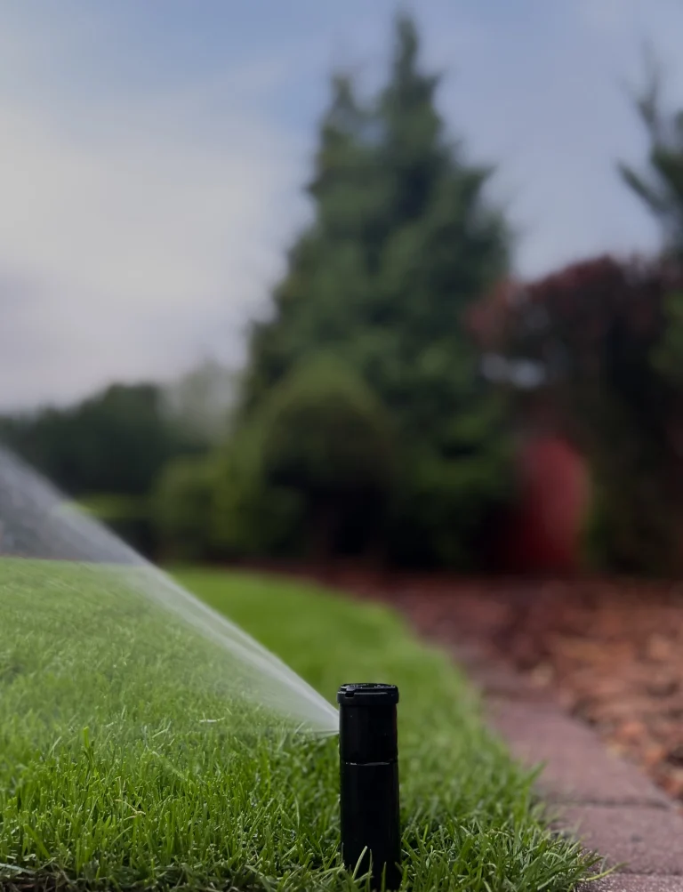 Montaż systemu nawadniania w Białymstoku